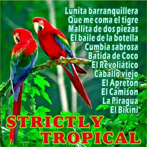 Mallita de Dos Piezas