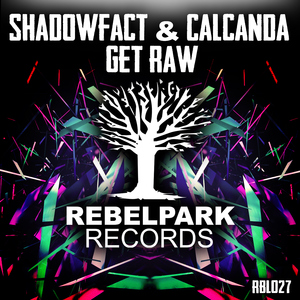 Get Raw (Extended Mix)