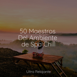 Descansando Suavemente