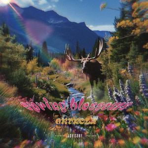 All I Have (feat. The Musalini)