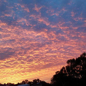 小説音楽 情熱の影 (feat. Cousuke) [kaisaku Studio ver]