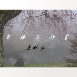 黃梅天游客
