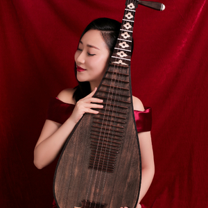 群星-红颜旧「琵琶演奏」（蔡子越 remix）