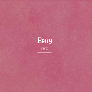 李佳隆-BERRY(Remix)