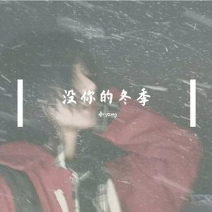 没你的冬季