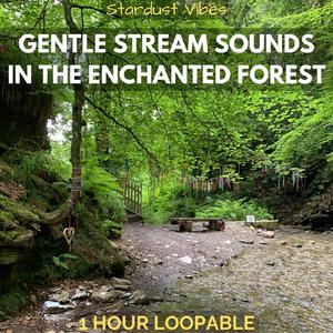 Gentle Stream Sounds in the Enchanted Forest: One Hour (Loopable)