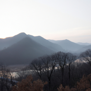 내 심장이 너를 부른다