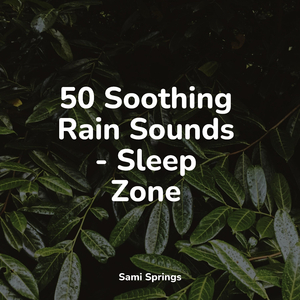 Rain, Vegetation, Wood, Heavy Wind