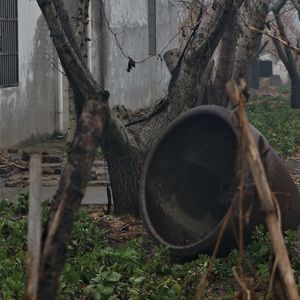 寒假放假什么作业都没写然后听到开学考的消息后大脑飞出银河系
