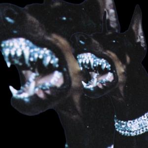 iDONT (DISCRIMINATE)(MASTERED)