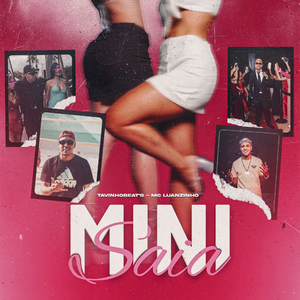 Mini saia
