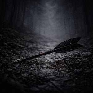 It May Be Noise, But It’s Life