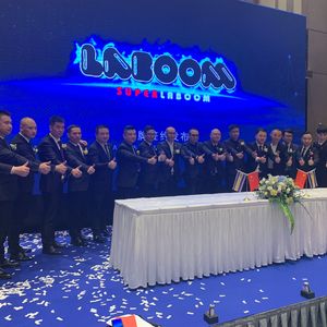 王蓉 - 好帅呦（MA TAO Remix）光明版