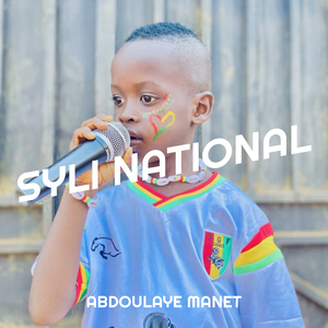 Syli National