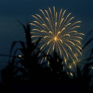 夏夜、烟火和你