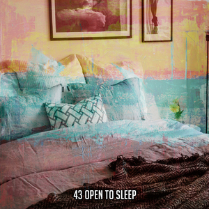 一個寧靜的夢想之夜