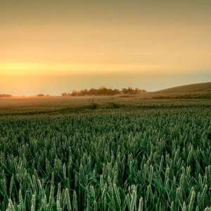 墨尔本晴（纯音乐）