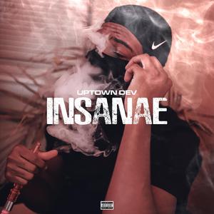 Insanae (Remix)