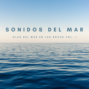 Campamento De Verano