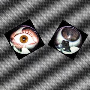 INFORMATION DESTRUCTION (feat. Swan Island)