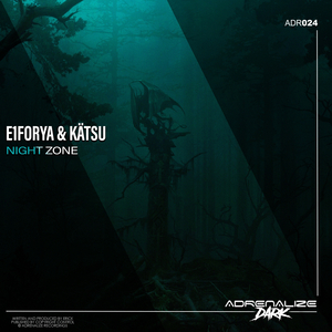 Night Zone (Extended Mix)
