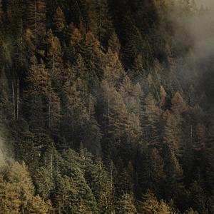 人文 景观 自然 室外场景