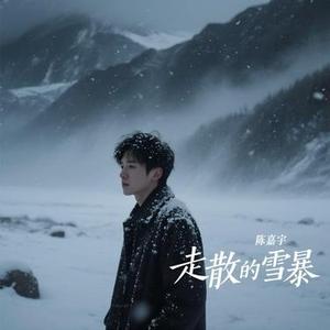 走散的雪暴