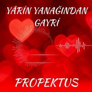 Yârin Yanağından Gayri - Şeyh Bedrettin Öğretilerinden- Neospirtüel Sessions