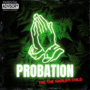 Probation