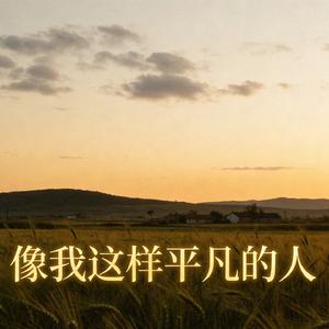 像我这样平凡的人