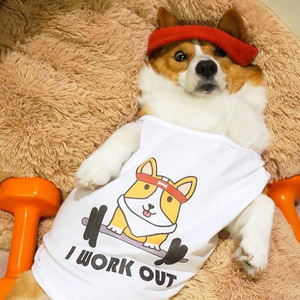 早春的树 原唱:陈鸿宇