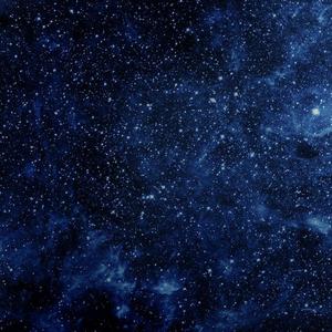 你是葬了我的坟