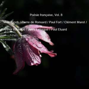 Villanelle de la voix perdue