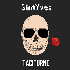Taciturne (radio edit)
