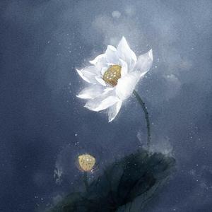 心如止水（live）