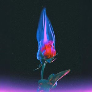 想象一朵未来的玫瑰