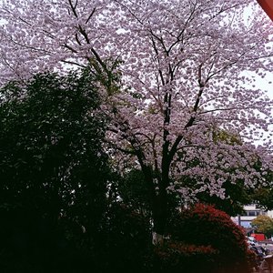 霎那闪烁照亮银河