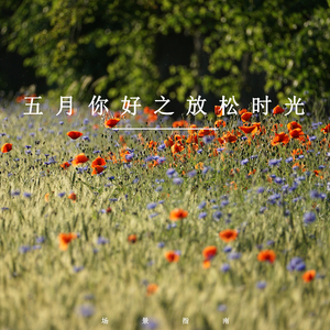 五月时光 (放松纯音乐)