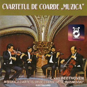 Cvartetul de coarde op. 59, nr. 3 în Do major, Andante con motto quasi- Allegretto