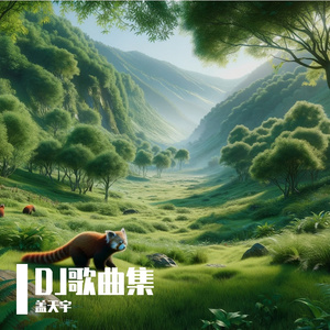 心之火（DJ版）