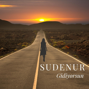 Gidiyorsun