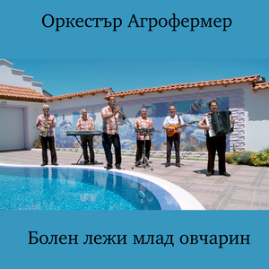 Митьо под чардак седеше