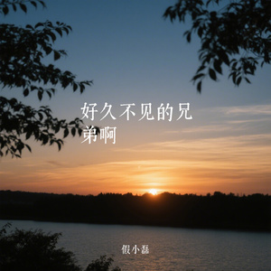 好久不见的兄弟啊