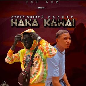 Haka kawai (feat. Papzzy maye)