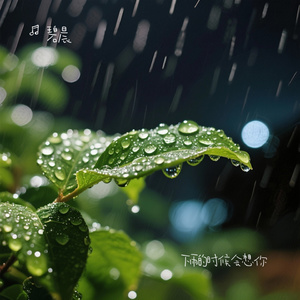 下雨的时候会想你