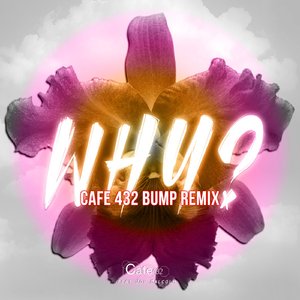 Why? (Cafe 432 Bump Radio)