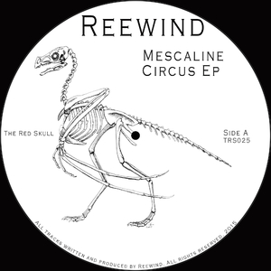 The Cause Of This (Original Mix)
