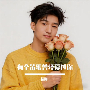 有个笨蛋曾经爱过你