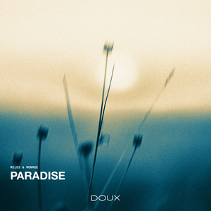 Paradise