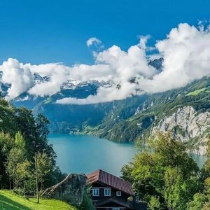 玉中 believe-无情的你遇到痴情的我铃声（舒心展翼 / 無情 remix）